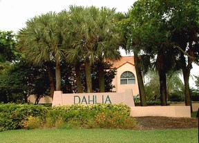 Dahlia in Plantation Florida